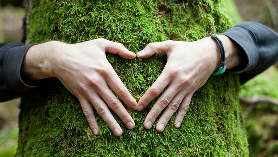 hombre abrazando un arbol